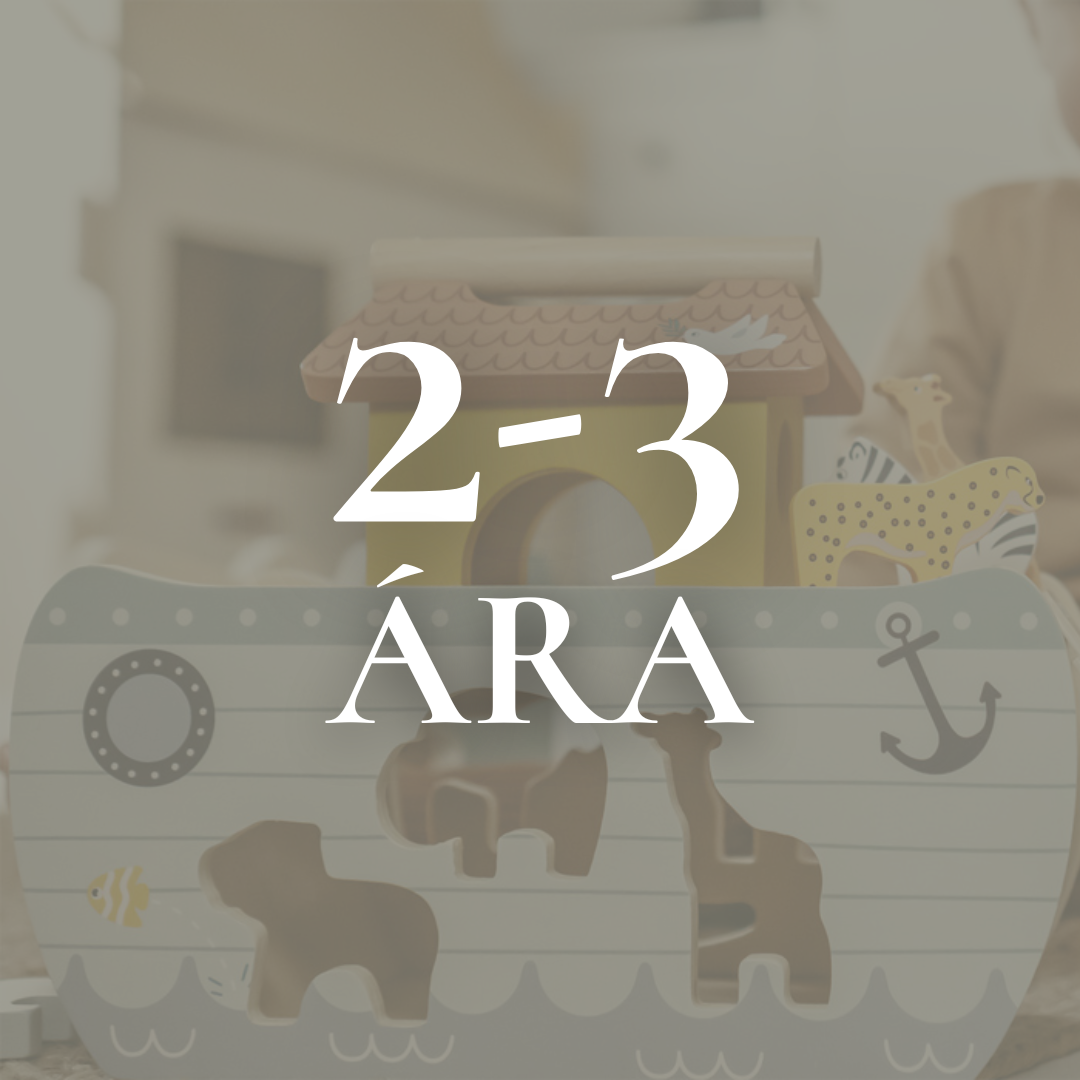 Gjafahugmyndir fyrir 2-3 ára börn hjá White Noise Barnavöruverslun.