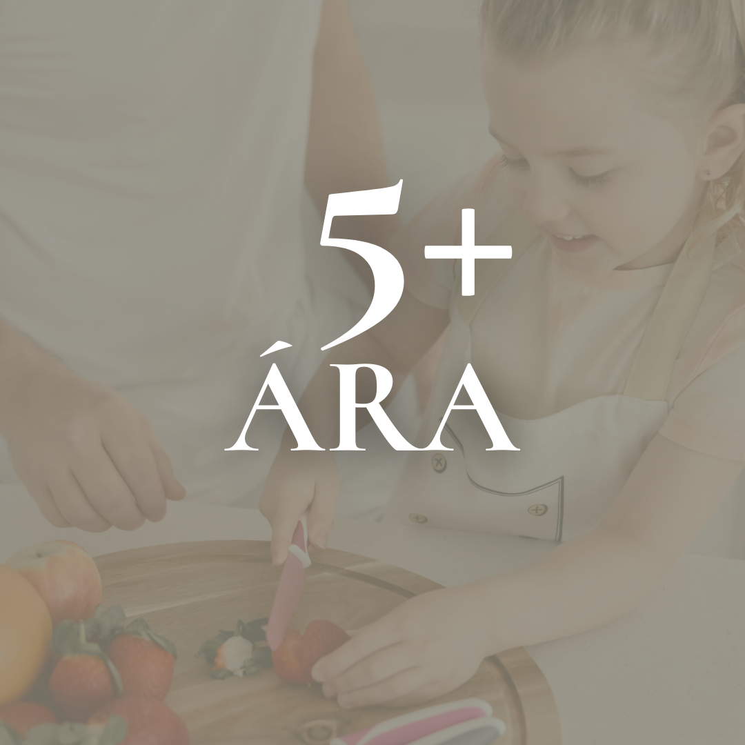 Hugmyndir af gjöfum fyrir 5+ ára gömul börn hjá WhiteNoise.is