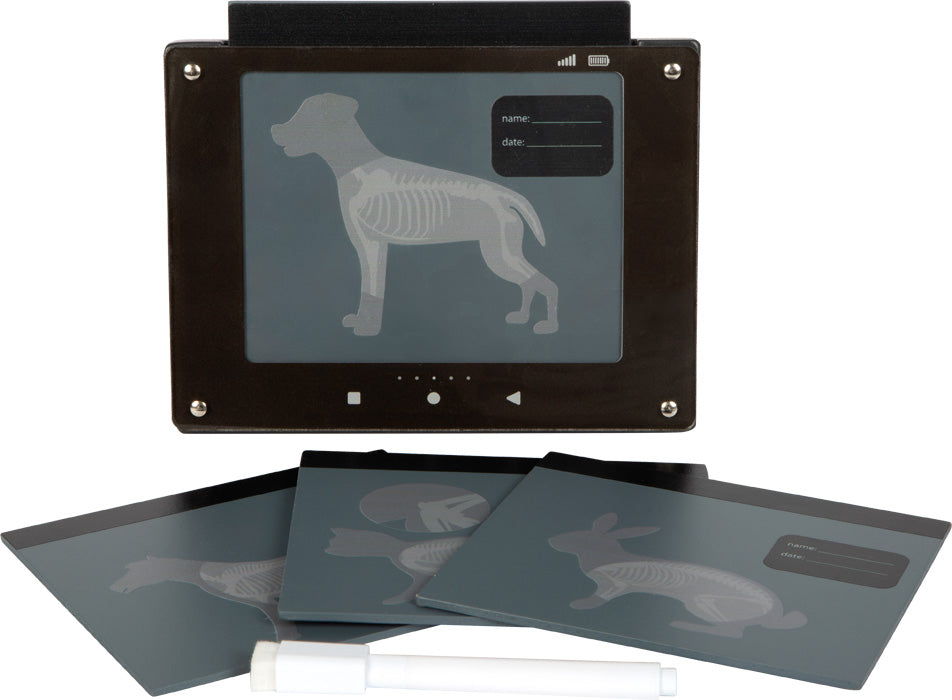 Fjórar mismunandi röntgenmyndir af dýrum ásamt penna