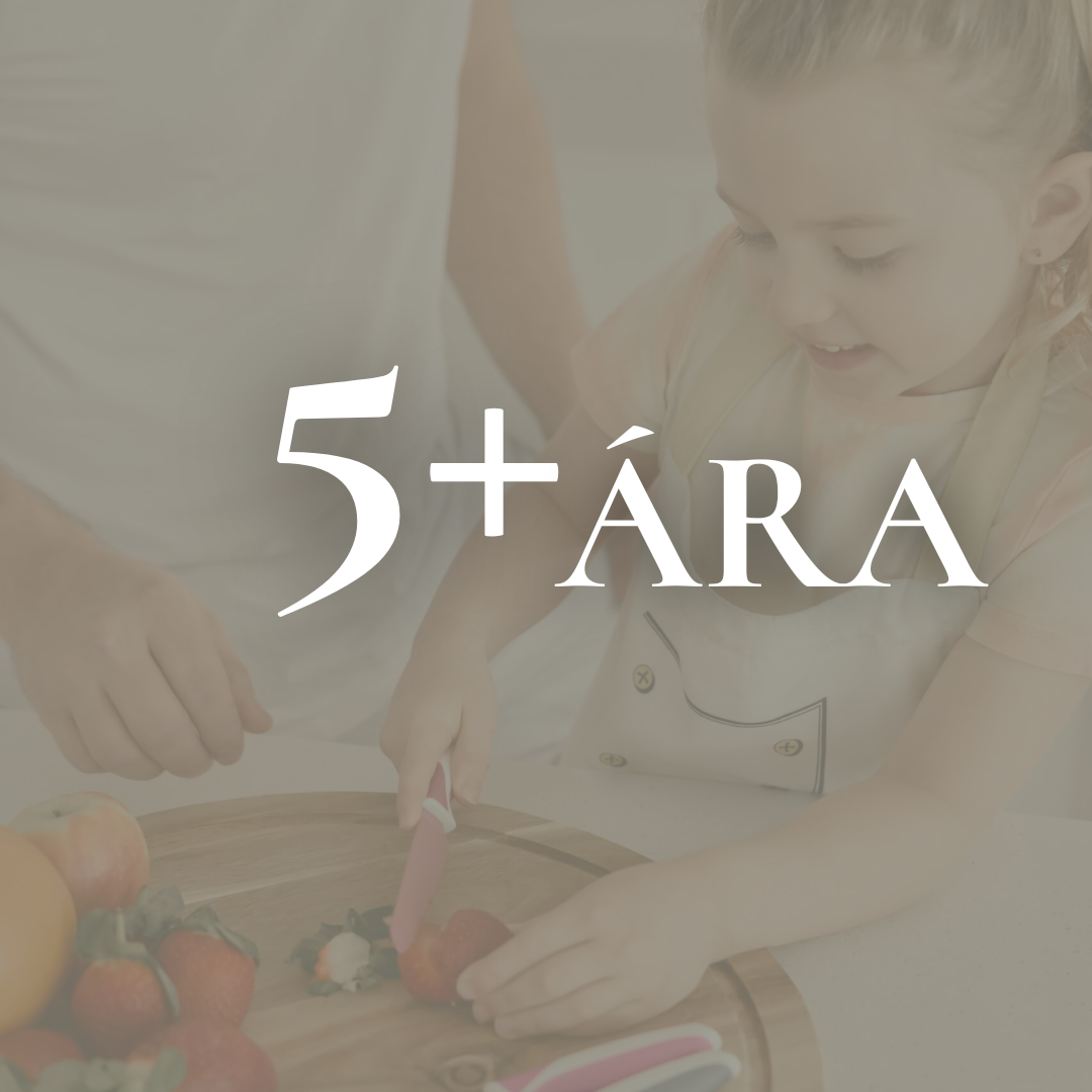 Hugmyndir af gjöfum fyrir 5+ ára gömul börn hjá WhiteNoise.is