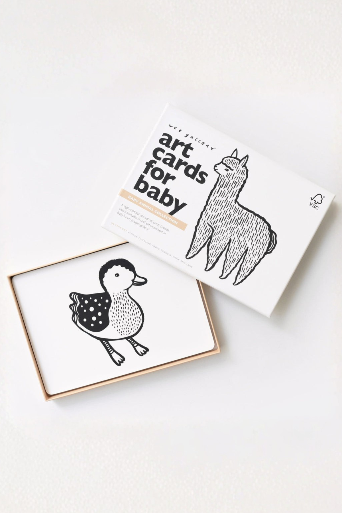 Litlu dýrin - Myndaspjöld fyrir Tummy Time