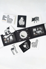 Black and white art cards for baby with animal illustrations on a white background