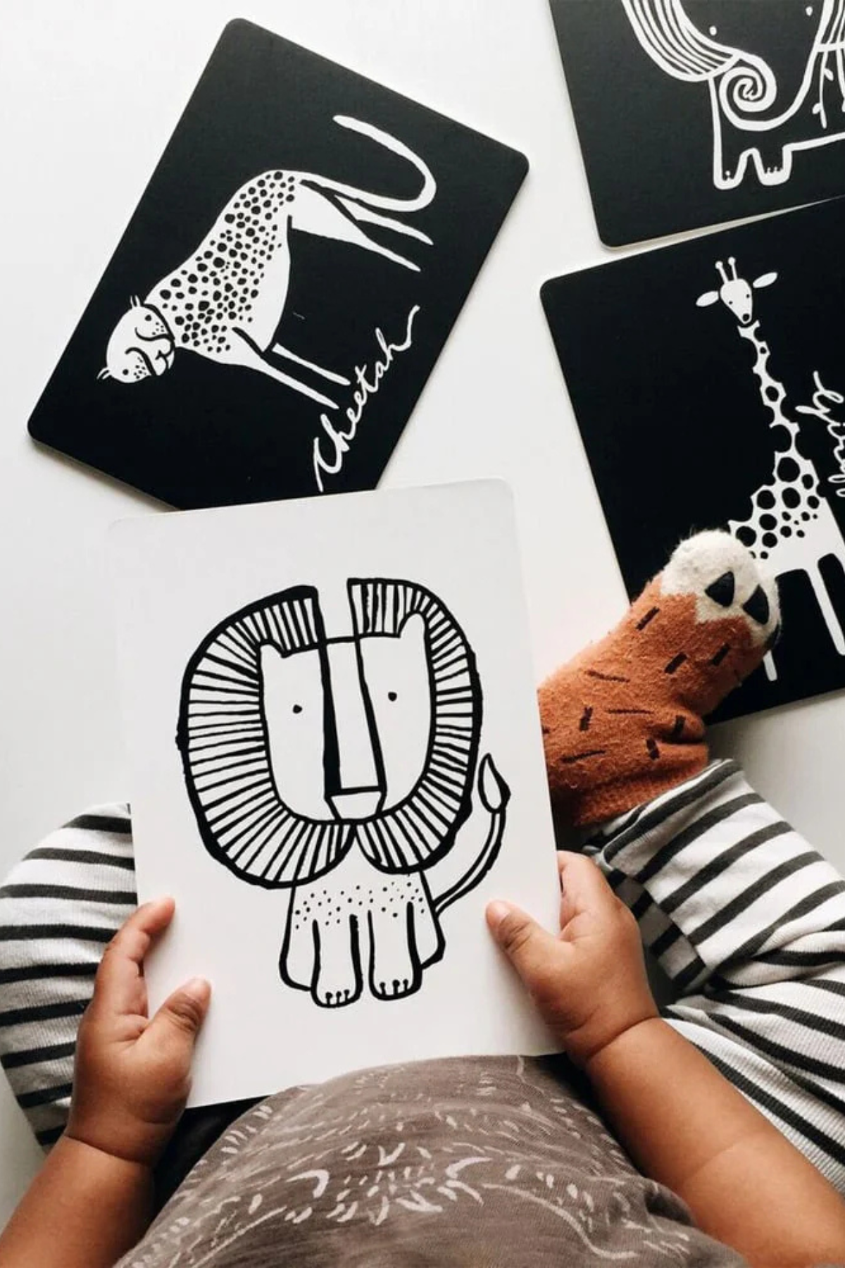 Children's hands holding a card with a lion illustration, surrounded by black cards with animal illustrations on a light background.