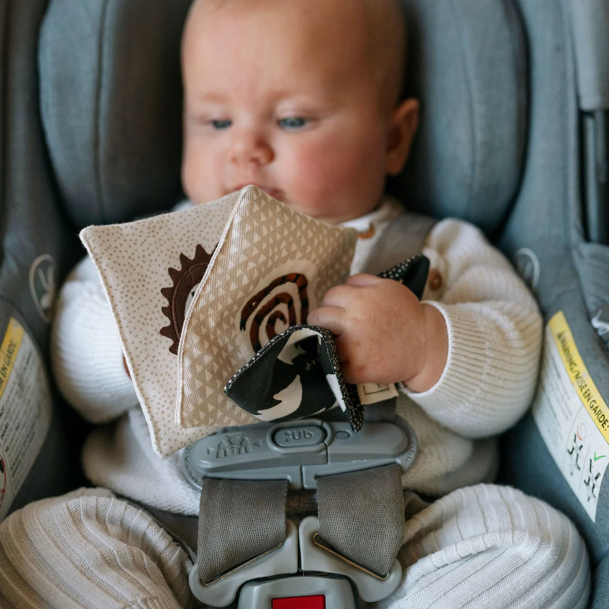 Baby in a car seat holding a textured toy