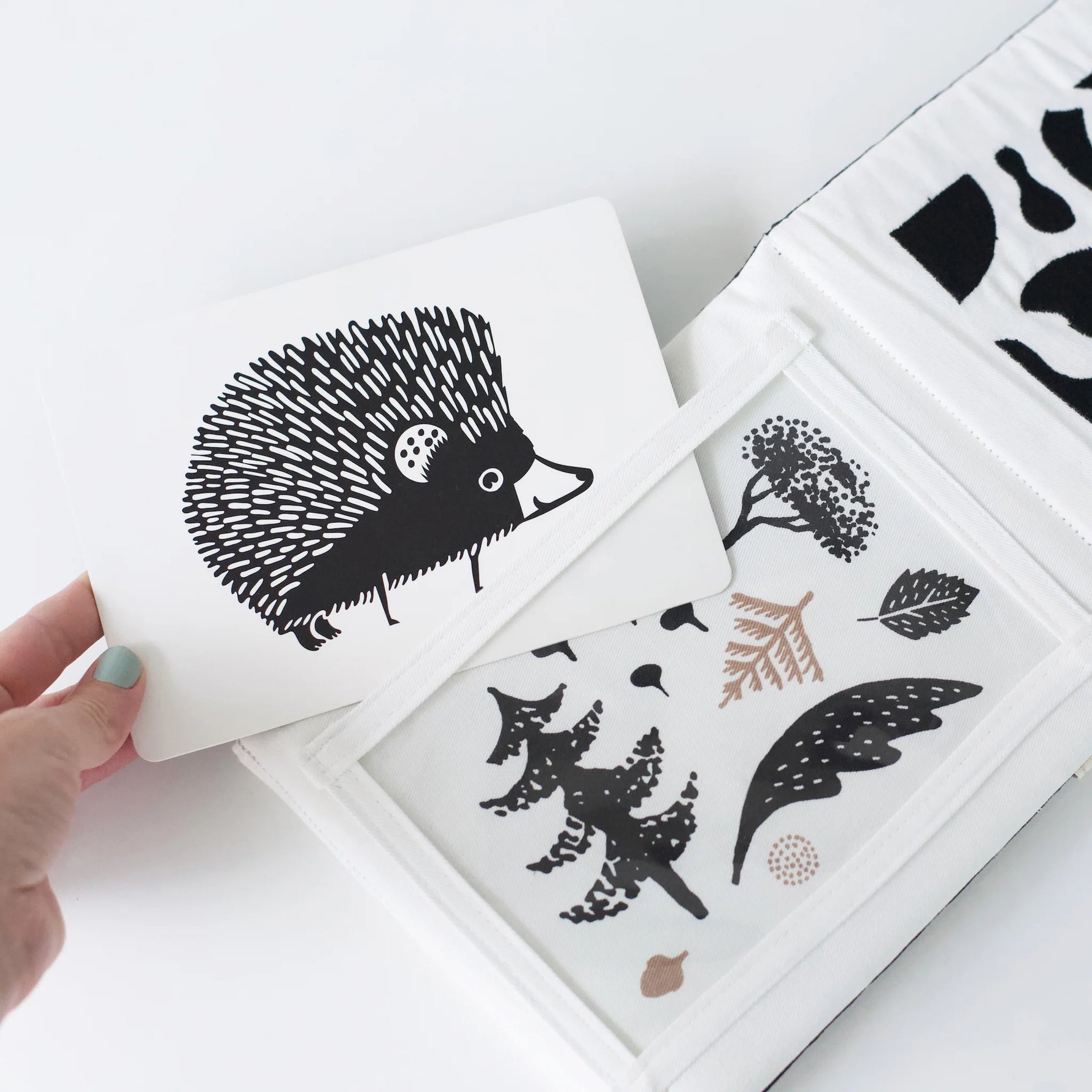 Vasi fyrir Art Cards svarthvít skynörvun.